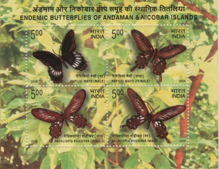 Indian Miniature Sheet – Endemic Butterflies of Andaman & Nicobar Islands Stamp ( 2nd Jan 2008)