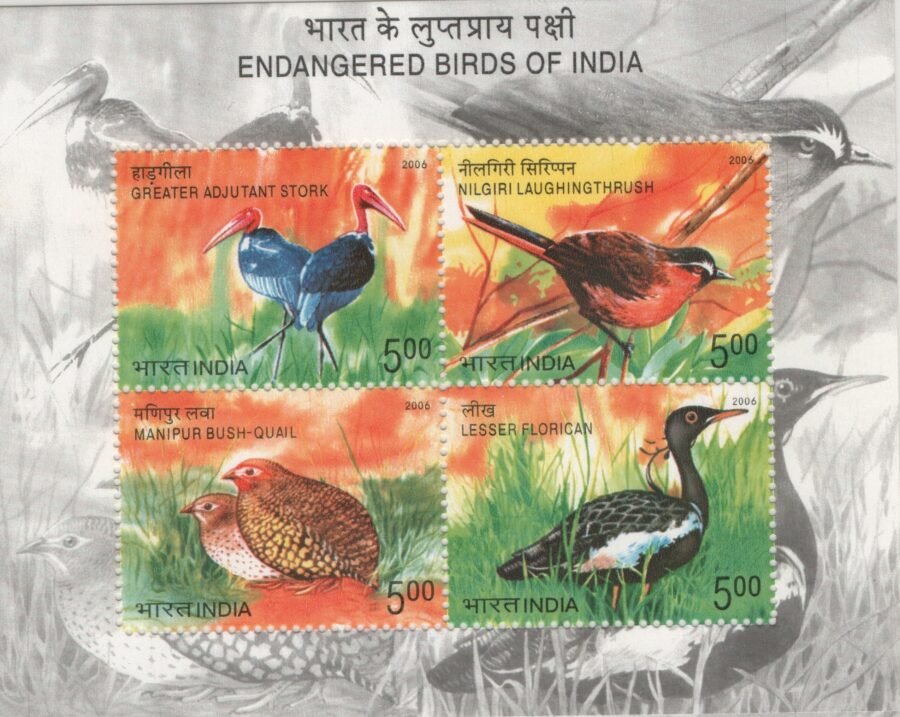 Indian Miniature Sheet – Endangered Birds of India Stamp ( 5th Oct 2006)