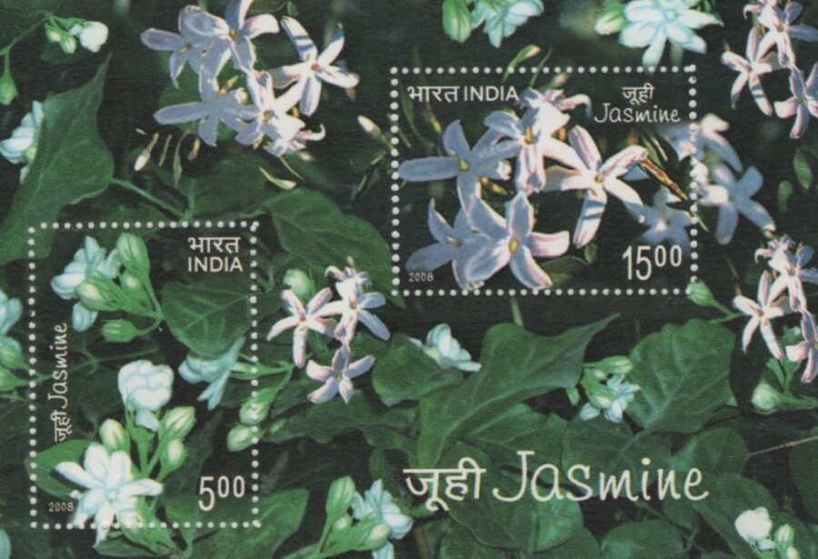 2008 Jasmine Flower-Miniature Sheet Stamp ( 26th Apr 2008)