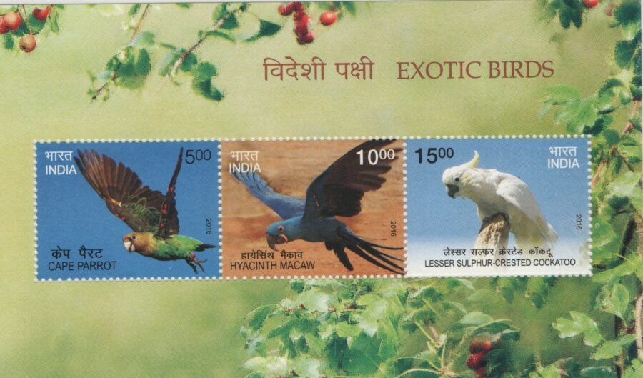 Indian Miniature Sheet -Exotic Birds of India Stamp ( 5th Dec 2016) ( 2 Sheets)