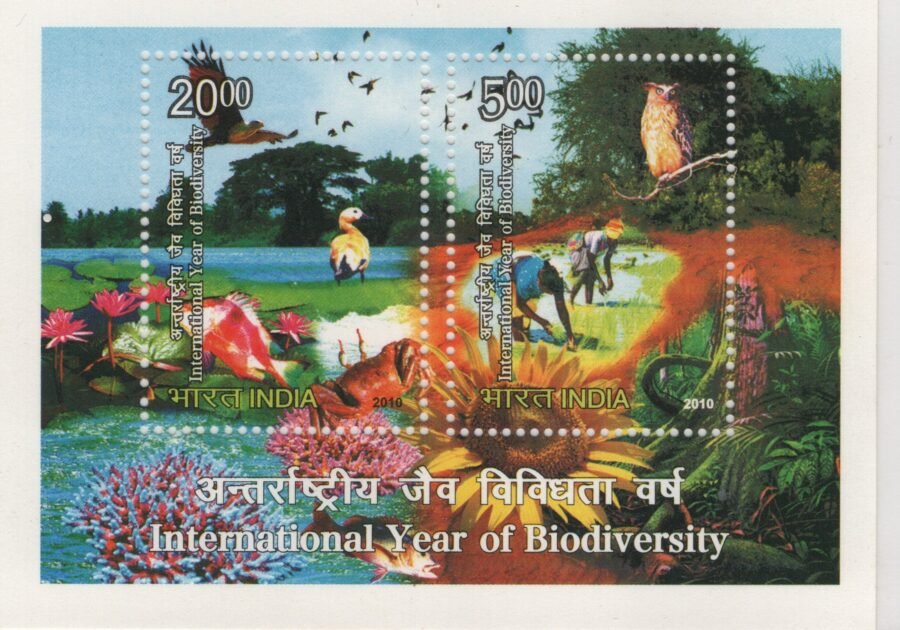 Indian Miniature Sheet -International Year of Biodiversity Stamp ( 5th June 2010)