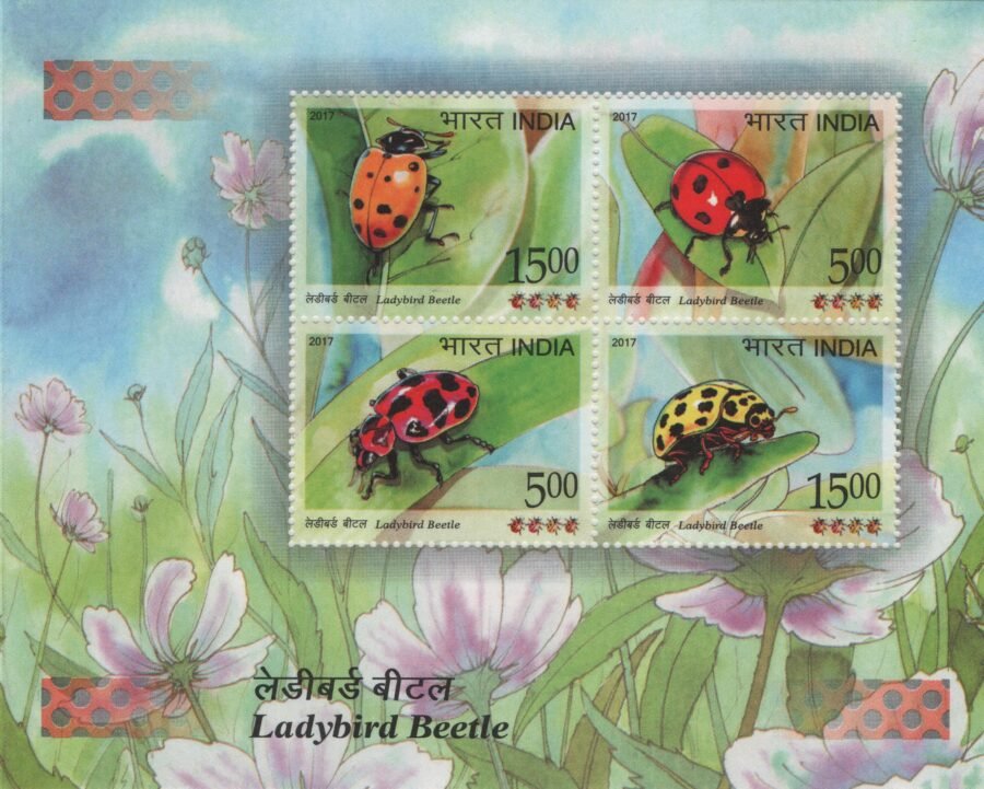 Miniature Sheet – Ladybird Beetle Stamps ( 23rd Feb 2017)