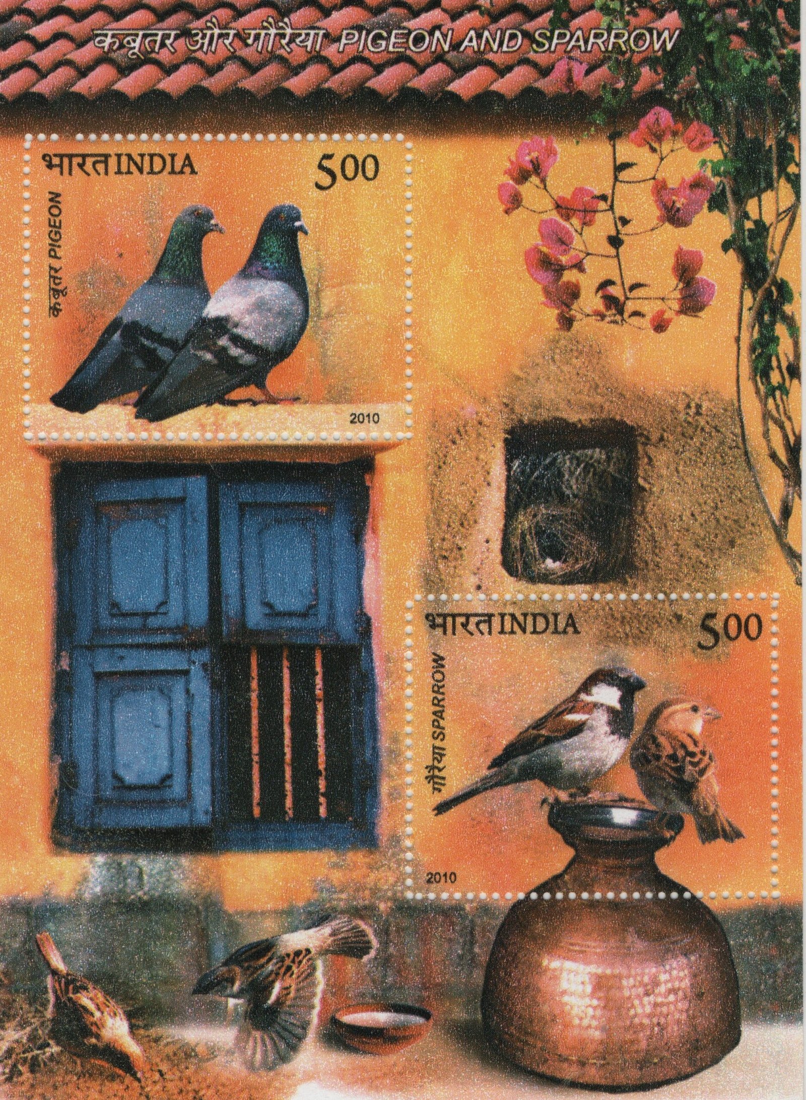 SM Pigeon n Sparrow 2010 (2)