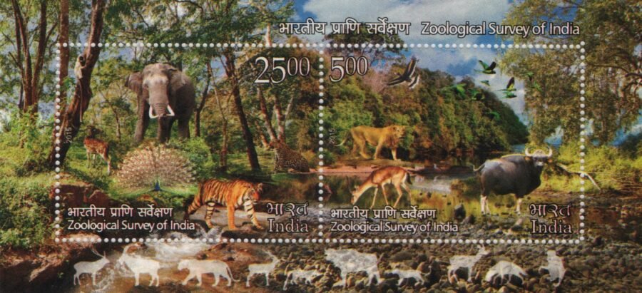 Indian Miniature Stamp – Zoological Survey of India ( 3rd Dec 2015)