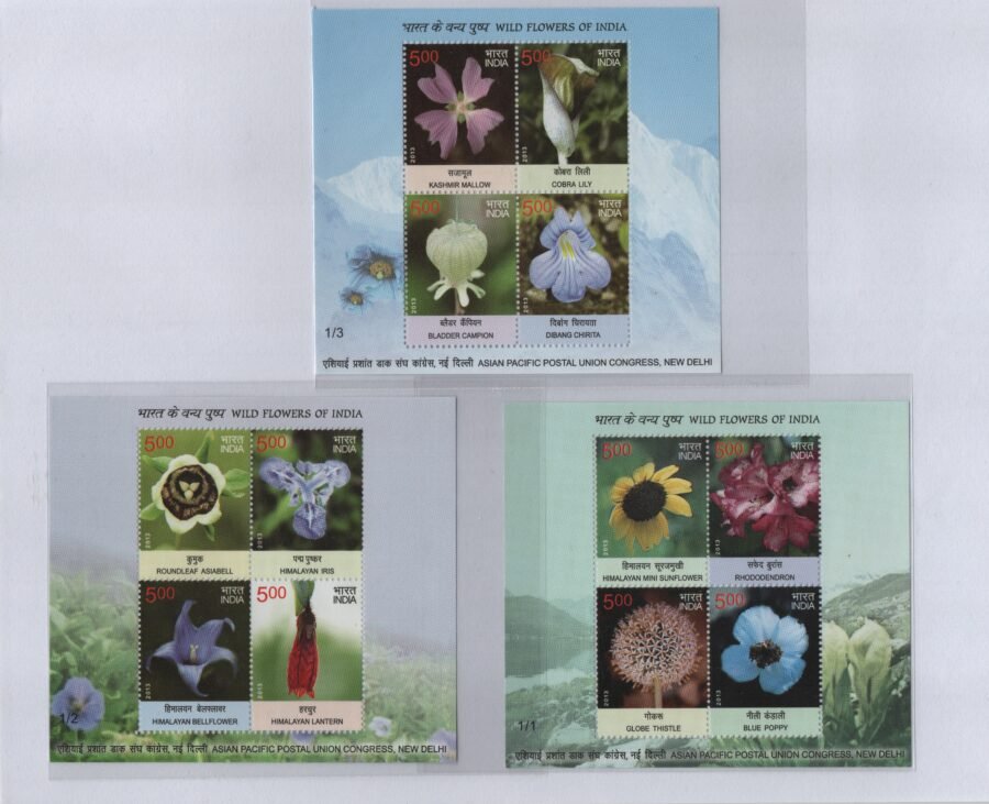 Indian Miniature Sheet -Wild Flowers of India Stamp Collection – Botanical Beauty ( 3rd Sept 2013)