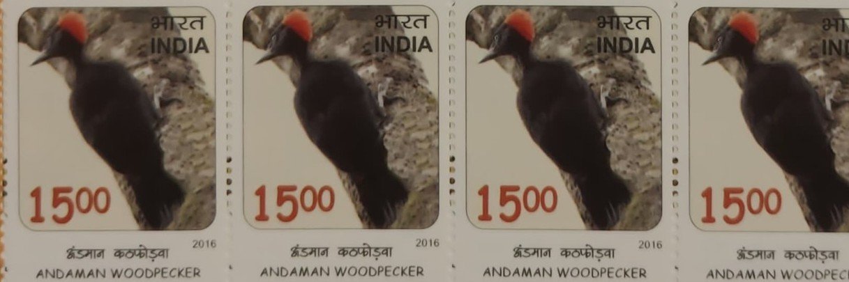 B4 Sheetlet Birds 2016_2