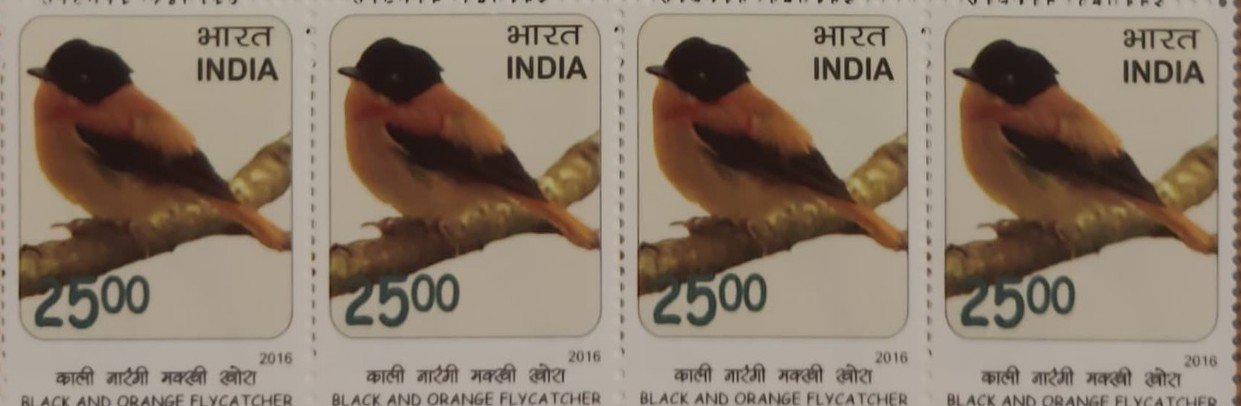 B4 Sheetlet Birds 2016_3