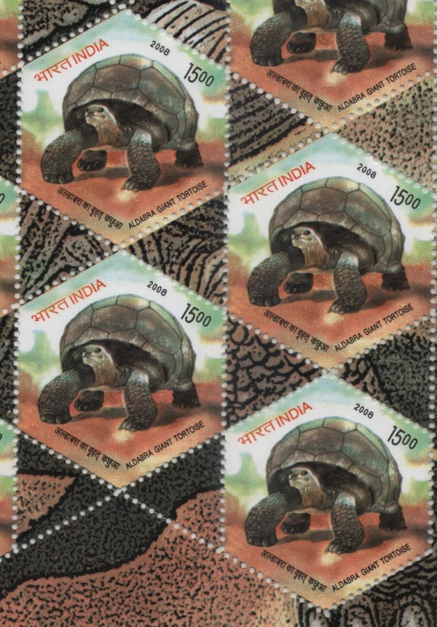2008 Aldabra Giant Tortoise-Sheetlet Stamp-Block of 4(2nd Aug 2008)(set of 2)