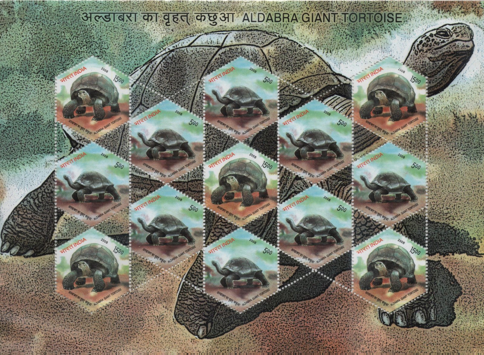 Mixed Sheetlet 2008 tortoise 4 4