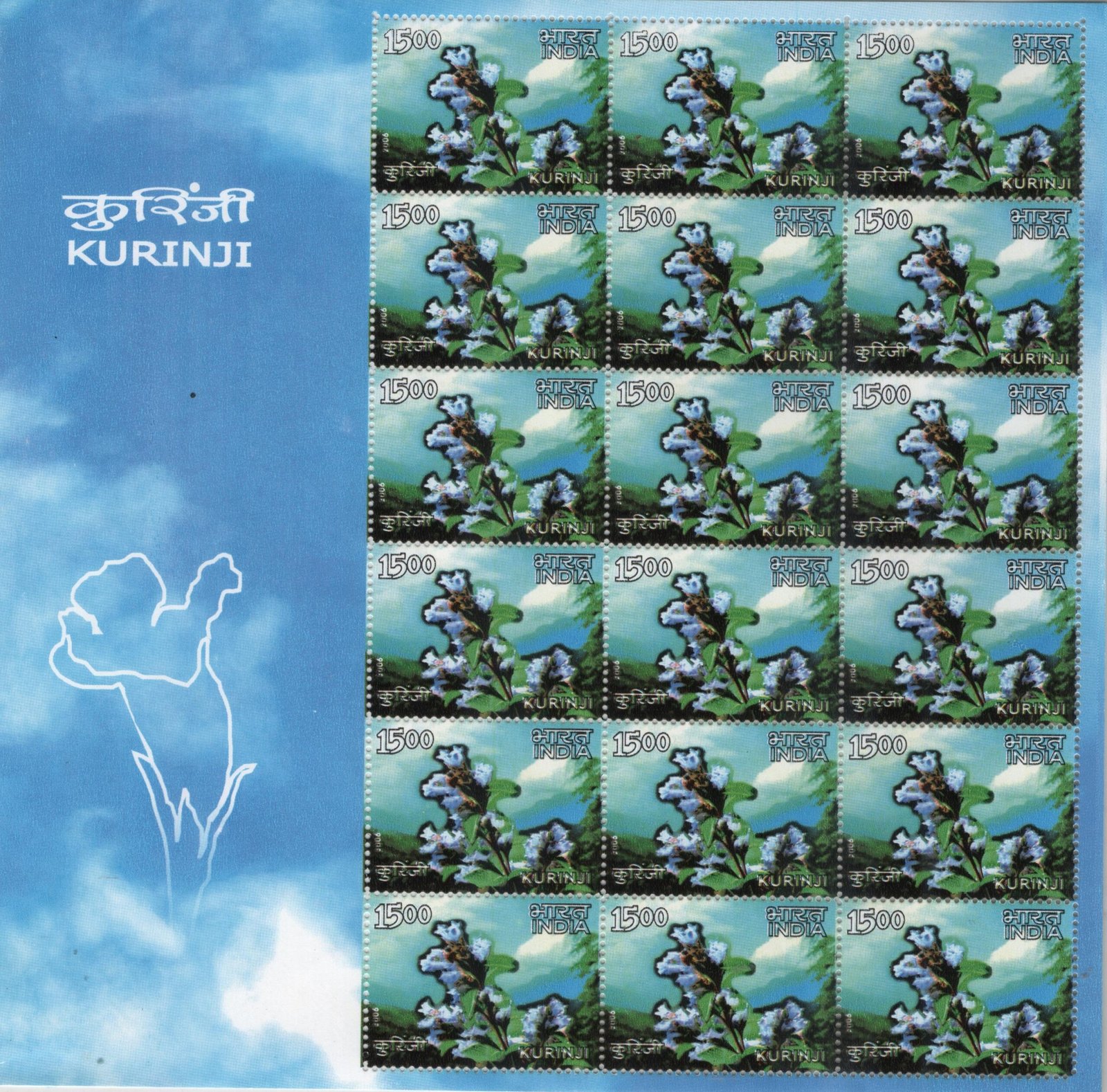 Sheetlet Kurinji 2006 (1)