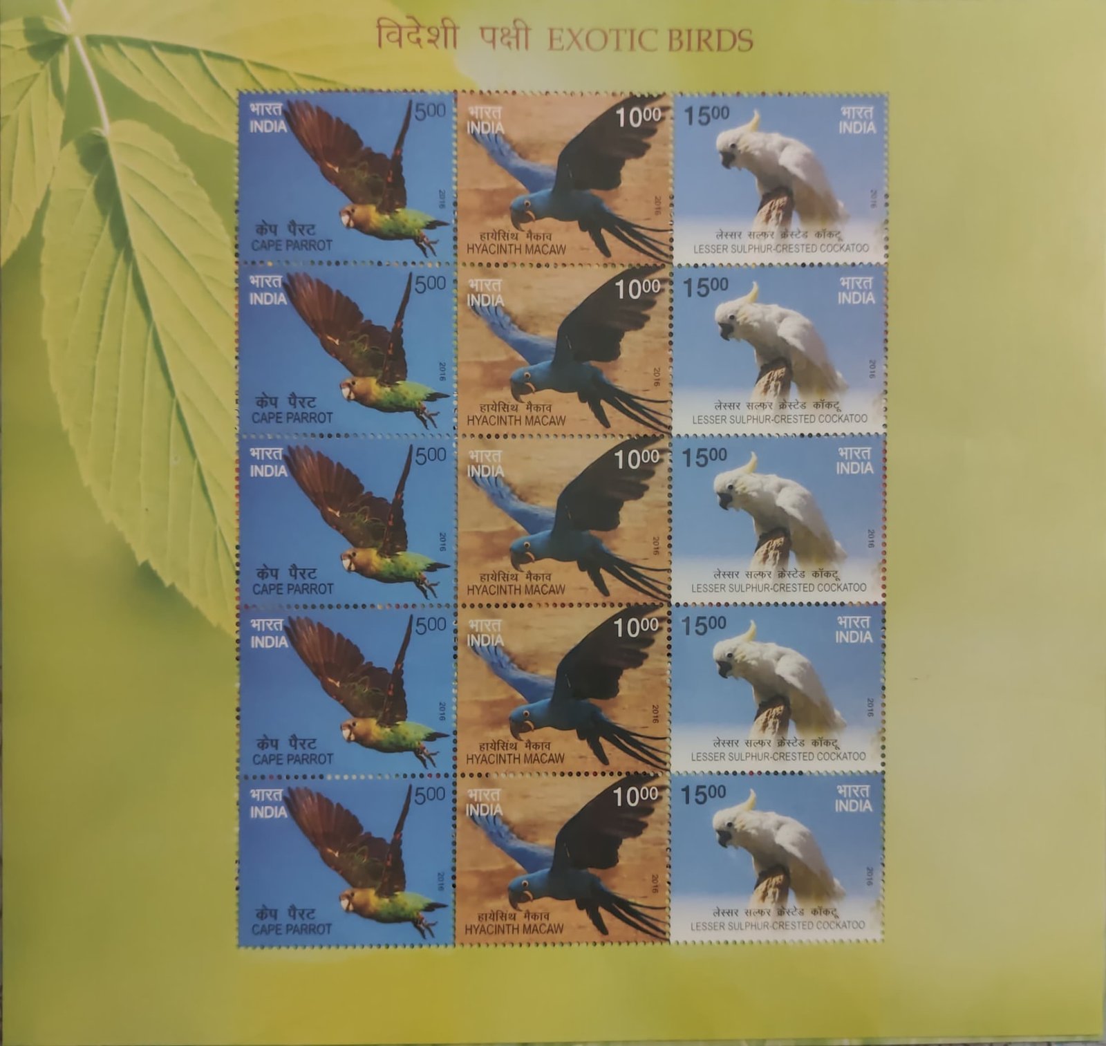 Sheetlet Exotic birds 2016_2 (4)