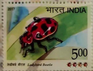 Sing Sh ladybird 2017_1