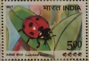 Sing Sh ladybird 2017_4