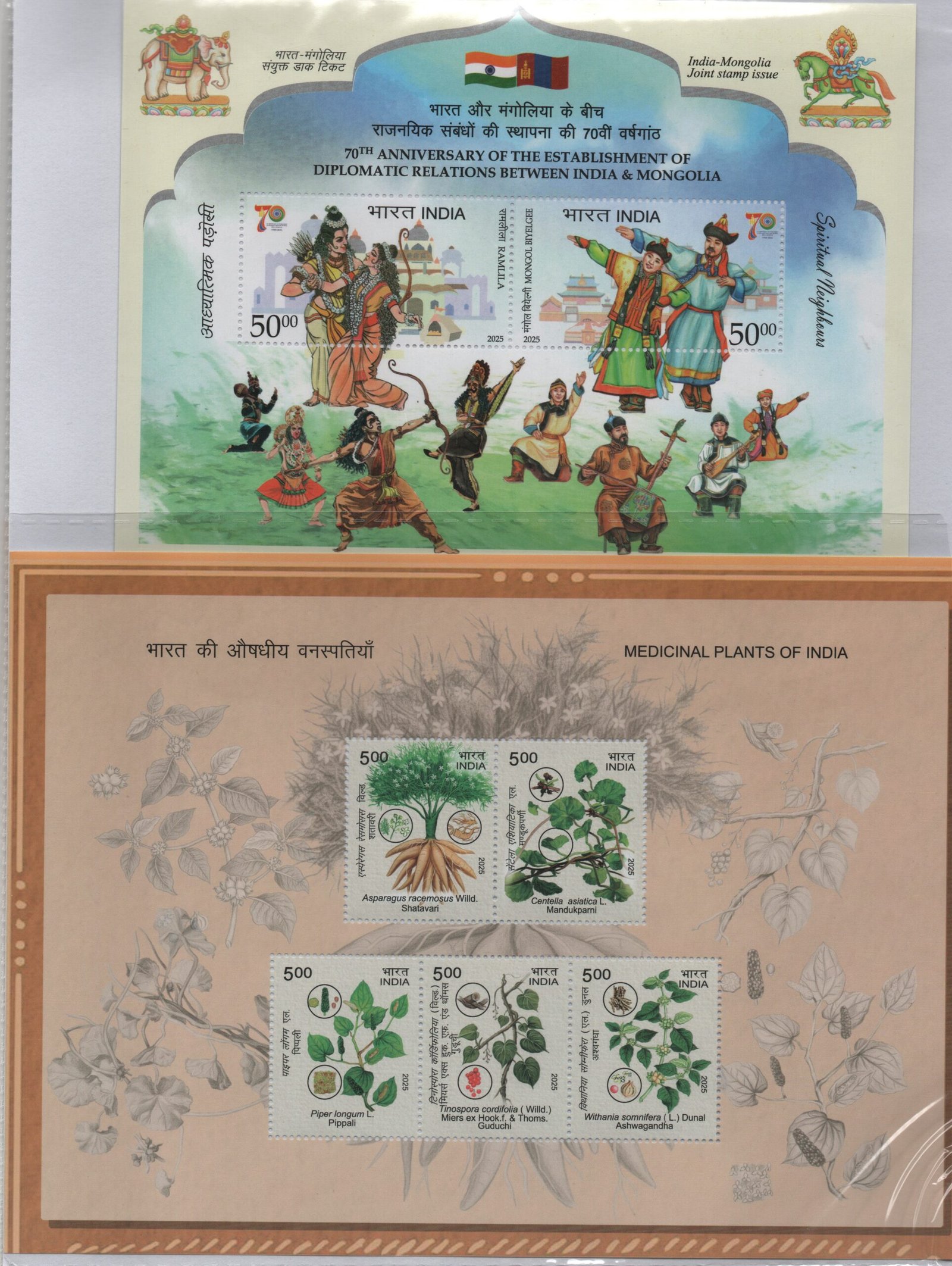 MYP 2025 ( 11PCS)_002 (1) (1)