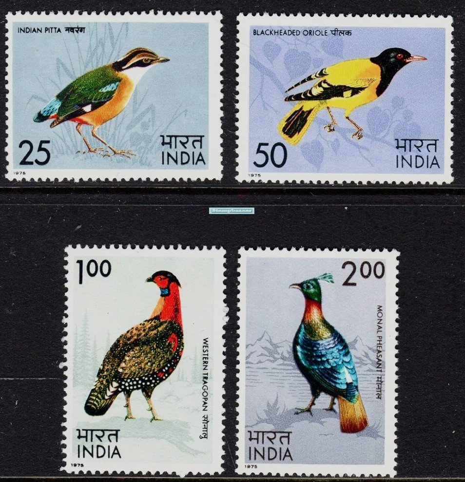 Indian birds series 2 (1)