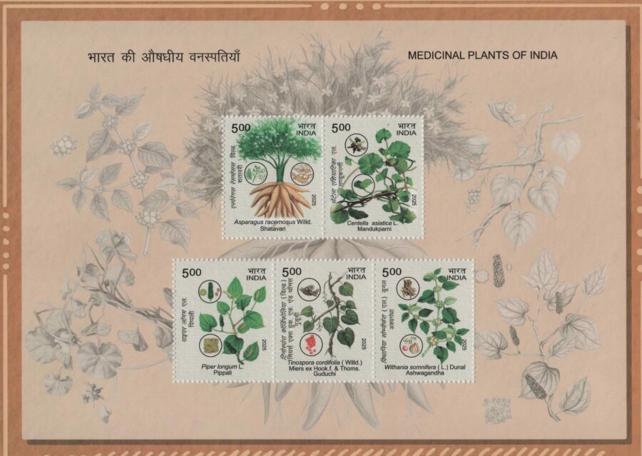 2025 Medicinal Plants Of India – Miniature Sheet Stamp(19th Dec)
