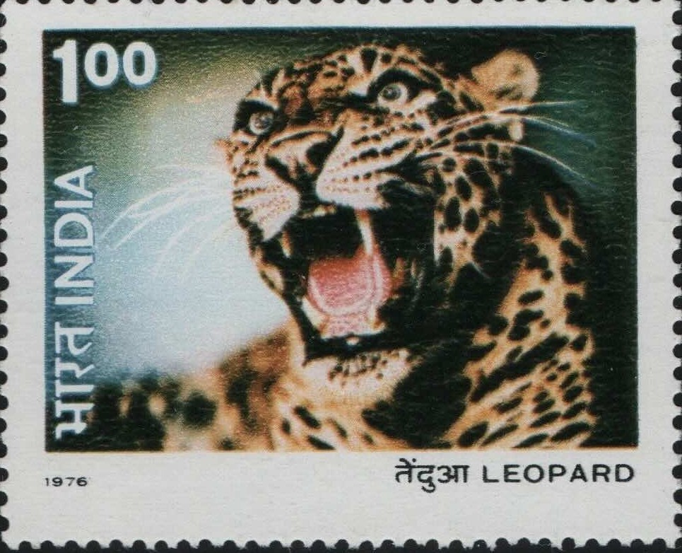 Sg Leapard 1976