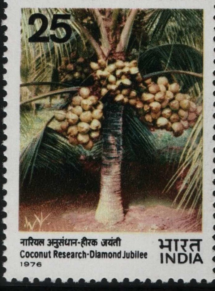 Sg coconut Research 1976