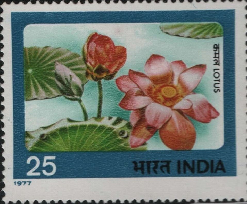 Sg Lotus 1977