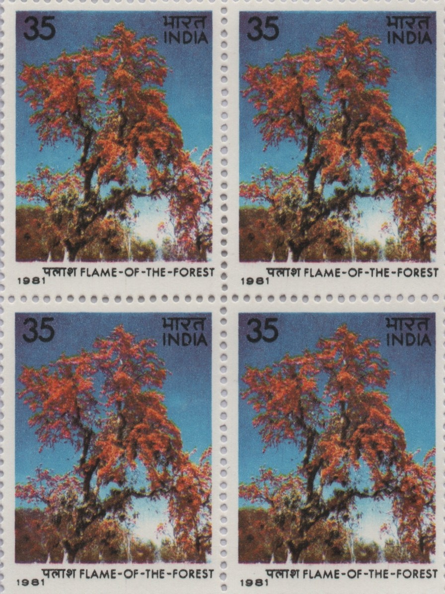 B4 Flame of the forest 1981