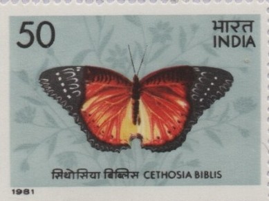 Sg C biblus 1981