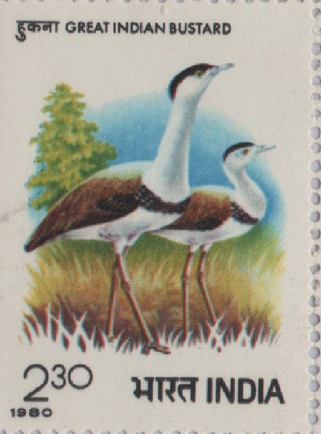 Sg Great Indian Bustard 1980 (1)