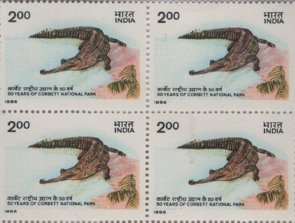 B4-Corbett-Gharial-1986