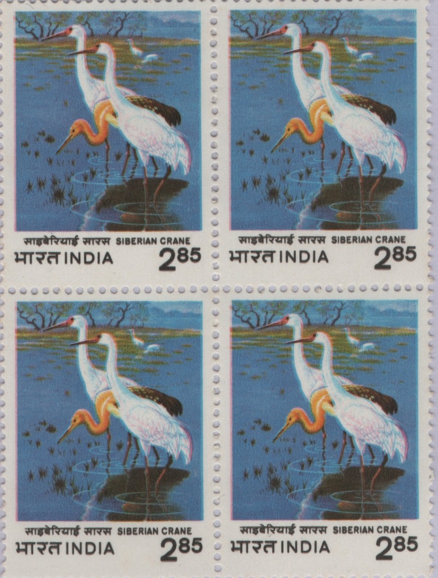 B4 siberian Crane 1983